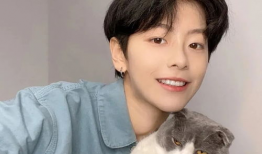 麻豆刘梦发型,时尚潮流的发型新宠